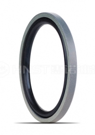 格萊圈—格萊圈PS110是一種孔用活塞桿密封圈，也叫階梯組合密封件。